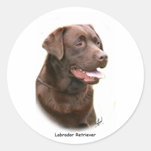 Schokolade Labrador Retriever Runder Aufkleber (Vorderseite)