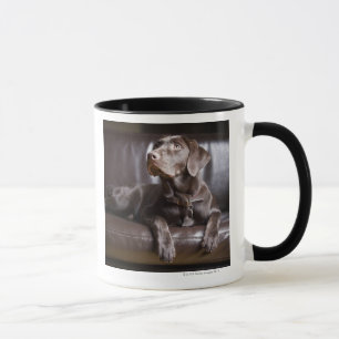 Schokolade Labrador retriever Tasse