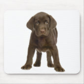Schokolade Labrador Retriever Welpe Hund Mousepad (Vorne)