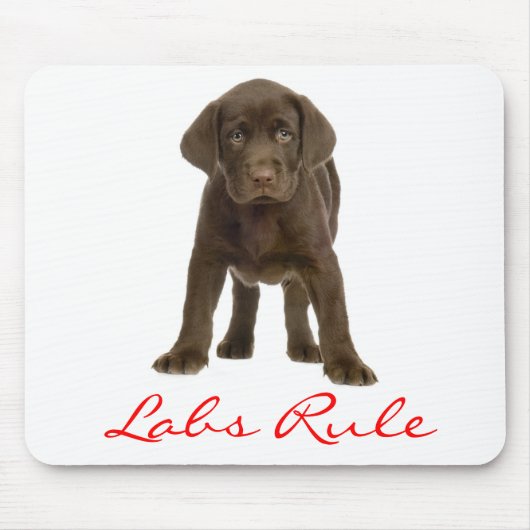 Schokolade Labrador Retriever Welpe Hund Mousepad (Vorne)