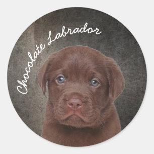 Schokolade Labrador Runder Aufkleber