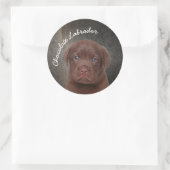 Schokolade Labrador Runder Aufkleber (Tasche)