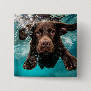 Schokolade Labrador Schwimmen unter Wasser Button