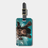 Schokolade Labrador Schwimmen unter Wasser Gepäckanhänger (Vorderseite vertikal)