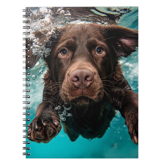 Schokolade Labrador Schwimmen unter Wasser Notizblock (Vorderseite)