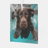 Schokolade Labrador Schwimmen unter Wasser Ornament Aus Glas (Vorderseite links)