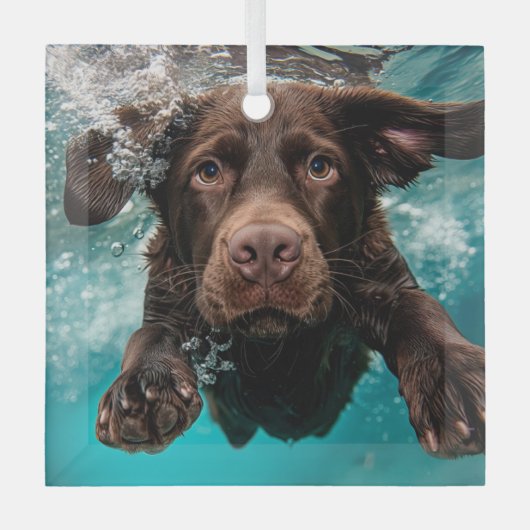 Schokolade Labrador Schwimmen unter Wasser Ornament Aus Glas (Vorderseite)