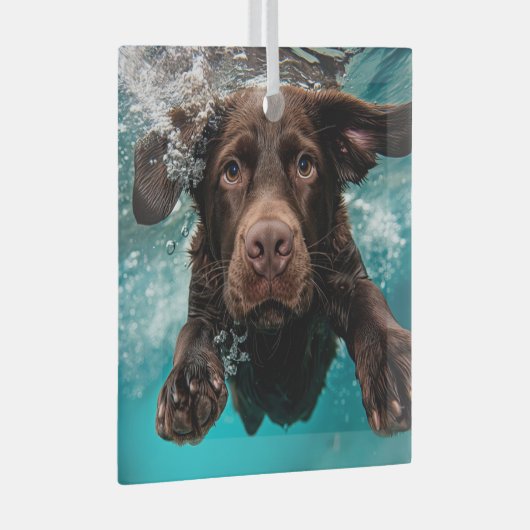 Schokolade Labrador Schwimmen unter Wasser Ornament Aus Glas (Vorderseite Rechts)