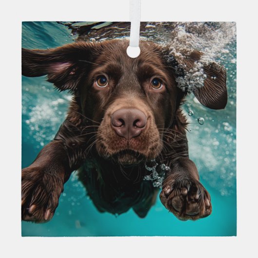 Schokolade Labrador Schwimmen unter Wasser Ornament Aus Glas (Rückseite)
