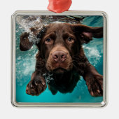 Schokolade Labrador Schwimmen unter Wasser Ornament Aus Metall (Vorne)