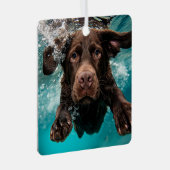 Schokolade Labrador Schwimmen unter Wasser Ornament Aus Metall (Vorderseite Rechts)