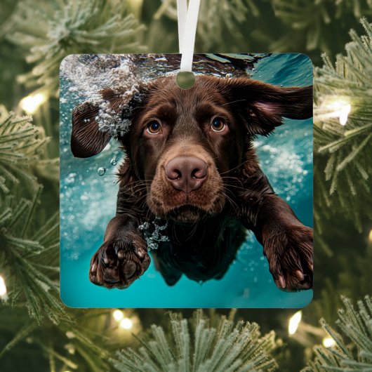 Schokolade Labrador Schwimmen unter Wasser Ornament Aus Metall (InSitu)