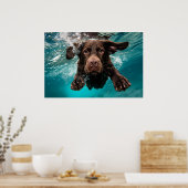 Schokolade Labrador Schwimmen unter Wasser Poster (Küche)