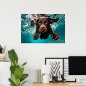 Schokolade Labrador Schwimmen unter Wasser Poster (Heimbüro)