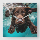 Schokolade Labrador Schwimmen unter Wasser Quadratische Wanduhr (Vorderseite)