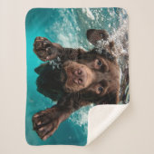 Schokolade Labrador Schwimmen unter Wasser Sherpadecke (Vorderseite)