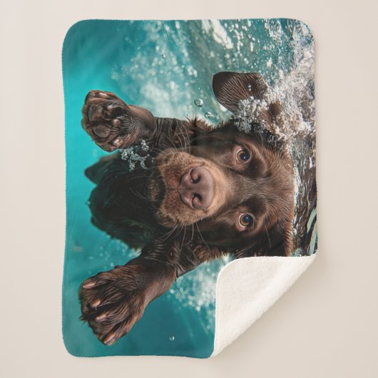 Schokolade Labrador Schwimmen unter Wasser Sherpadecke (Vorderseite)