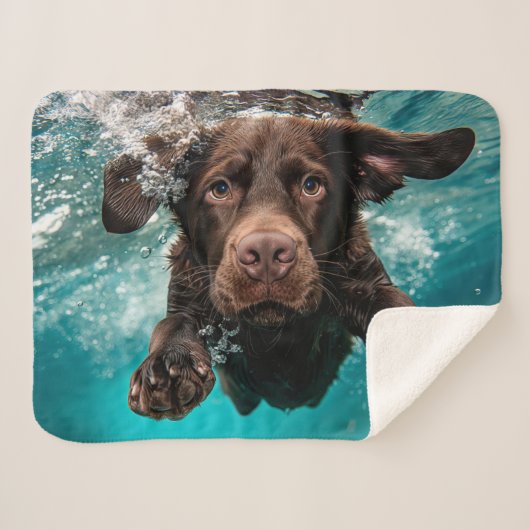 Schokolade Labrador Schwimmen unter Wasser Sherpadecke (Vorderseite (Horizontal))