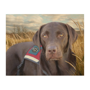 Schokolade Labrador Service Hund Holzdruck