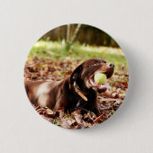 Schokolade-Labrador-Spiel mit Ball Button (Vorderseite)