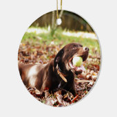 Schokolade-Labrador-Spiel mit Ball Keramikornament (Links)
