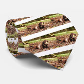 Schokolade-Labrador-Spiel mit Ball Krawatte (Gerollt)