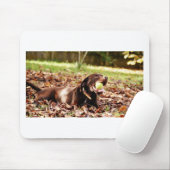 Schokolade-Labrador-Spiel mit Ball Mousepad (Mit Mouse)