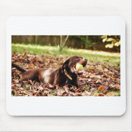 Schokolade-Labrador-Spiel mit Ball Mousepad