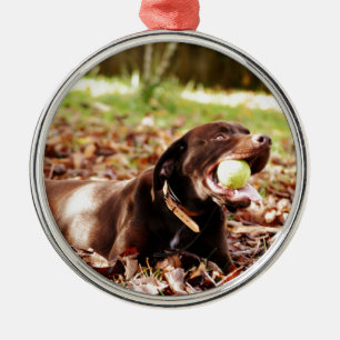 Schokolade-Labrador-Spiel mit Ball Ornament Aus Metall
