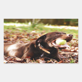 Schokolade-Labrador-Spiel mit Ball Rechteckiger Aufkleber