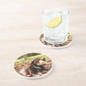 Schokolade-Labrador-Spiel mit Ball Sandstein Untersetzer (Seite)