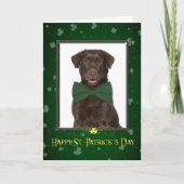 Schokolade Labrador St. Patrick's Day Card Karte (Vorderseite)