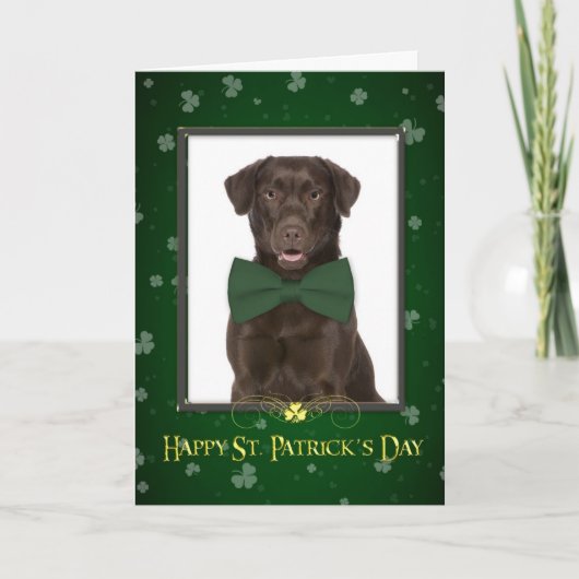 Schokolade Labrador St. Patrick's Day Card Karte (Vorderseite)