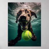 Schokolade Labrador Tauchen unter Wasser Poster (Vorne)