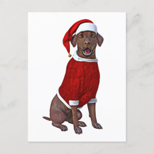 Schokolade Labrador Time for Christmas Postkarte