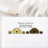 Schokolade Labrador und Gelbe Labrador (Insitu)