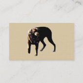 Schokolade Labrador Visitenkarte (Rückseite)