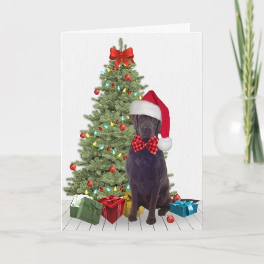 Schokolade Labrador Weihnachten Karte (Vorderseite)