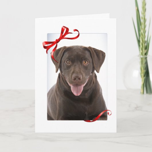 Schokolade Labrador Weihnachtskarte Dankeskarte (Vorderseite)