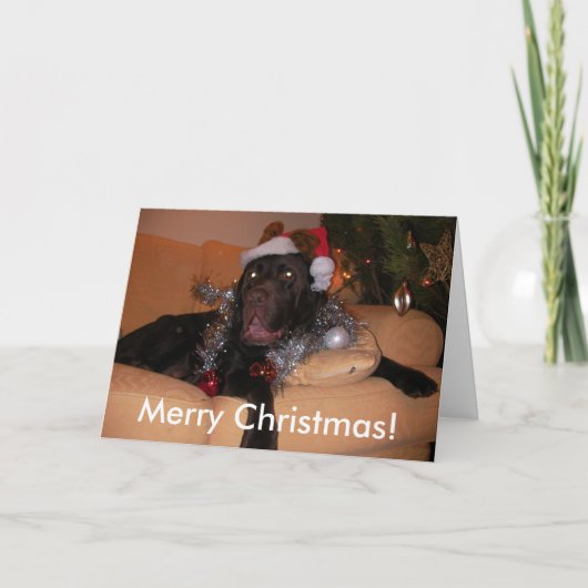 Schokolade Labrador Weihnachtskarten Feiertagskarte (Vorderseite)