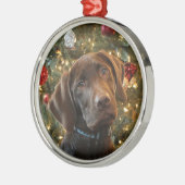 Schokolade Labrador Weihnachtsschmuck (Links)