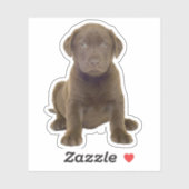 Schokolade Labrador Welpe Aufkleber (Blatt)