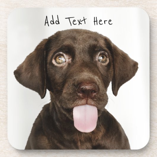 Schokolade Labrador Welpe Getränkeuntersetzer (Vorderseite)