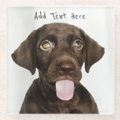 Schokolade Labrador Welpe Glasuntersetzer (Vorderseite)