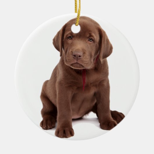 Schokolade Labrador Welpe Keramikornament (Vorne)