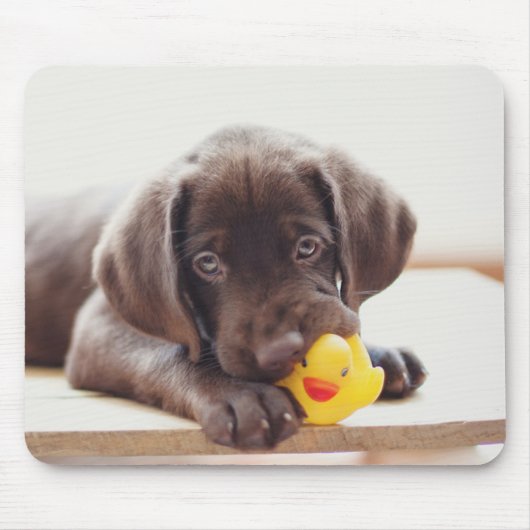 Schokolade-Labrador-Welpe mit Spielzeug-Ente Mousepad (Vorne)