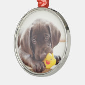 Schokolade-Labrador-Welpe mit Spielzeug-Ente Ornament Aus Metall (Links)
