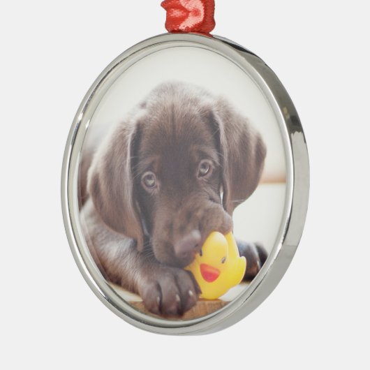 Schokolade-Labrador-Welpe mit Spielzeug-Ente Ornament Aus Metall (Links)