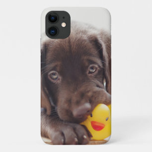 Schokolade-Labrador-Welpe mit Spielzeugente Case-Mate iPhone Hülle