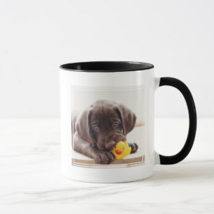 Schokolade-Labrador-Welpe mit Spielzeugente Tasse